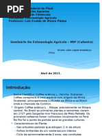 Seminário de Entomologia Agricola UFPI