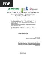 7- Fichamento