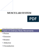 Anaphy Lab Muscular System PDF