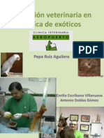 Actuacion Veterinaria en Animales Exoticos