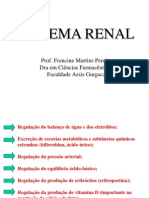 Sistema Renal