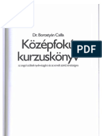 Borostyán Csilla - Középfokú Kurzuskönyv Az Angol Szóbeli Nyelvvizsgára