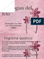 Patologias 2 Del Feto