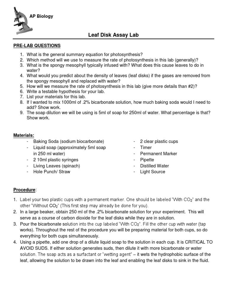 Photosynthesis Lab PDF Experiment Syringe