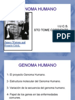 Genoma Humano 1