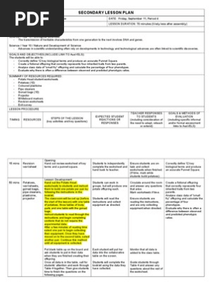 lesson plan mr potato head