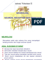 Neurologi 