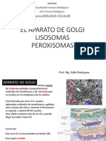 Aparato de Golgi, Lisosomas y Peroxisomas