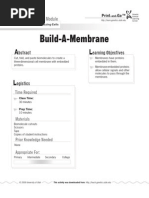 Download Build a Membrane by Miguel Angel Torres SN289849800 doc pdf