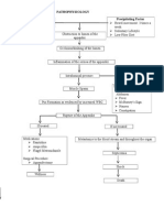 Pathophysiology - Appendicitis