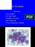 Plasma Cell - 8th Group of Hematology