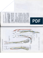 Anatómia I. - Könyv - 132
