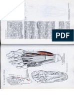 Anatómia I. - Könyv - 134