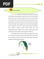 Download MORFOLOGIDAUNbyMikaFebryatiSN289896729 doc pdf