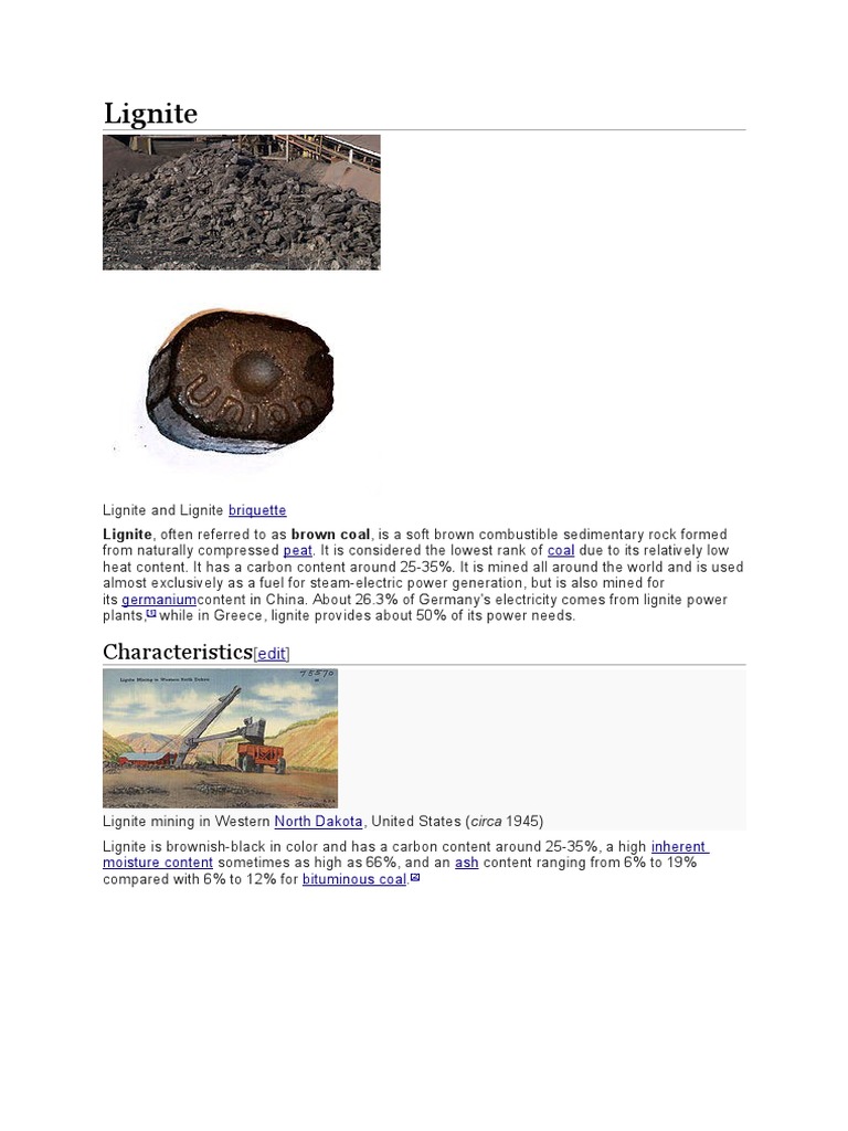 Lignite: Characteristics | PDF