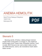 Anemia Hemolitik