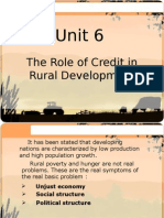 Unit 6: The Role of Credit in Rural Development