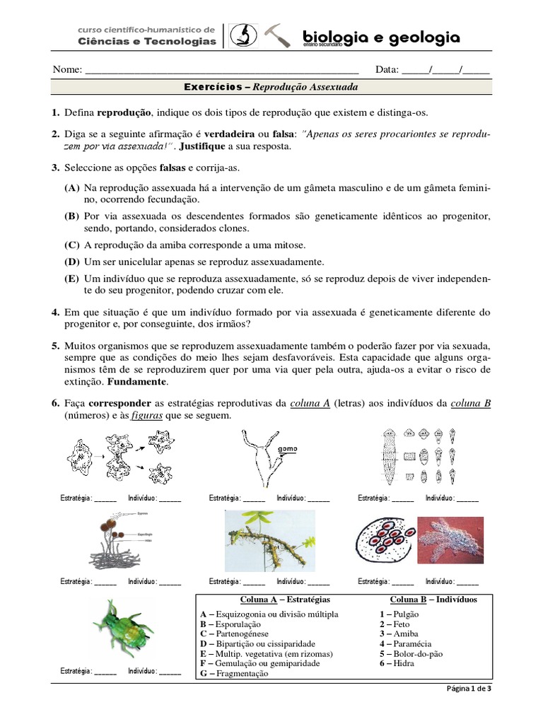 Exercícios - Rep. Assexuada | PDF | Reprodução | Clonagem