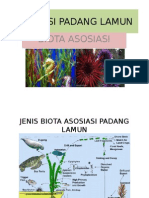 3.potensi Padang Lamun Biota Asosiasi