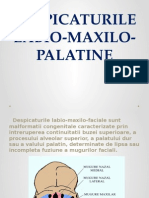 Despicaturile Labio Maxilo Palatine !