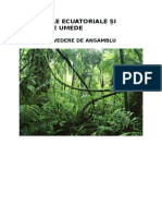 Padurile Ecuatoriale-Compozitia Floristica Si Faunistica