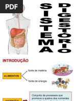 SISTEMA DIGESTORIO.ppt