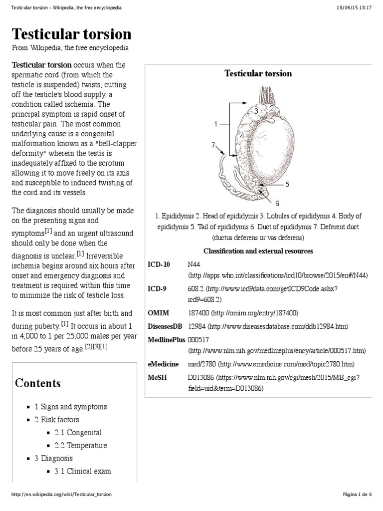 Wikipedia Testicular Torsion (CHECKED) Clinical Medicine Medical Specialties