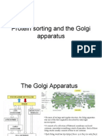 Protein Sorting & Modification in the Golgi Apparatus