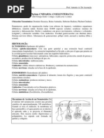 Guia de Estudio 03 - Cnidarios