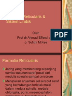 1.formatio Reticularis & Sistem Limbik