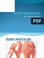Clase 7 Tejido muscular