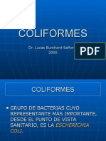 Coliformes - Dr. Lucas Buchard Señoret.ppt