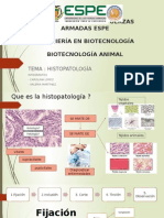 Histopatologia