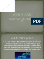 Adn y Arn