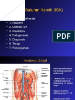 Infeksi Sal Kemih Perbaikan