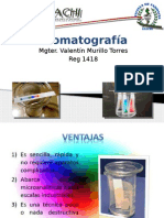 Cromatografía Mgter Murillo