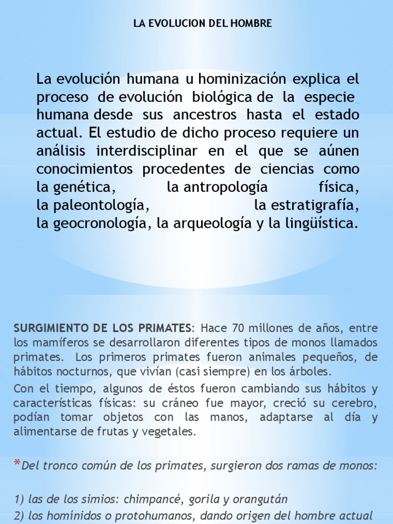 La Evolucion Del Hombre | PDF | Evolución humana | Homo Sapiens