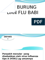 Flu Burung Dan Flu Babi