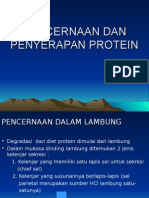 Pencernaan Dan Penyerapan Protein