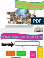 Extincion D Eespcies Expo