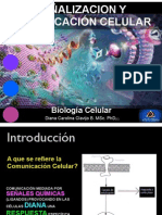 1 SeñalizaciónCelularBiología