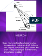 Fisioterapi-Neuromuskular-dan-Psikiatri-Pertemuan-13.ppt