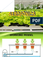 AEROPONICS.ppt