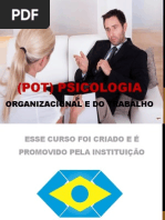 (Pot) Psicologia Organizacional e Do Trabalho