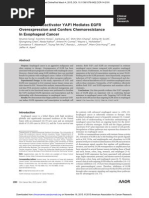 Download The Hippo Coactivator YAP1 Mediates EGFR Overexpression and Confers Chemoresistance in Esophageal Cancer by Borris Aldonza SN290041275 doc pdf