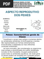 Aspecto ReprodutIivo em Peixes 