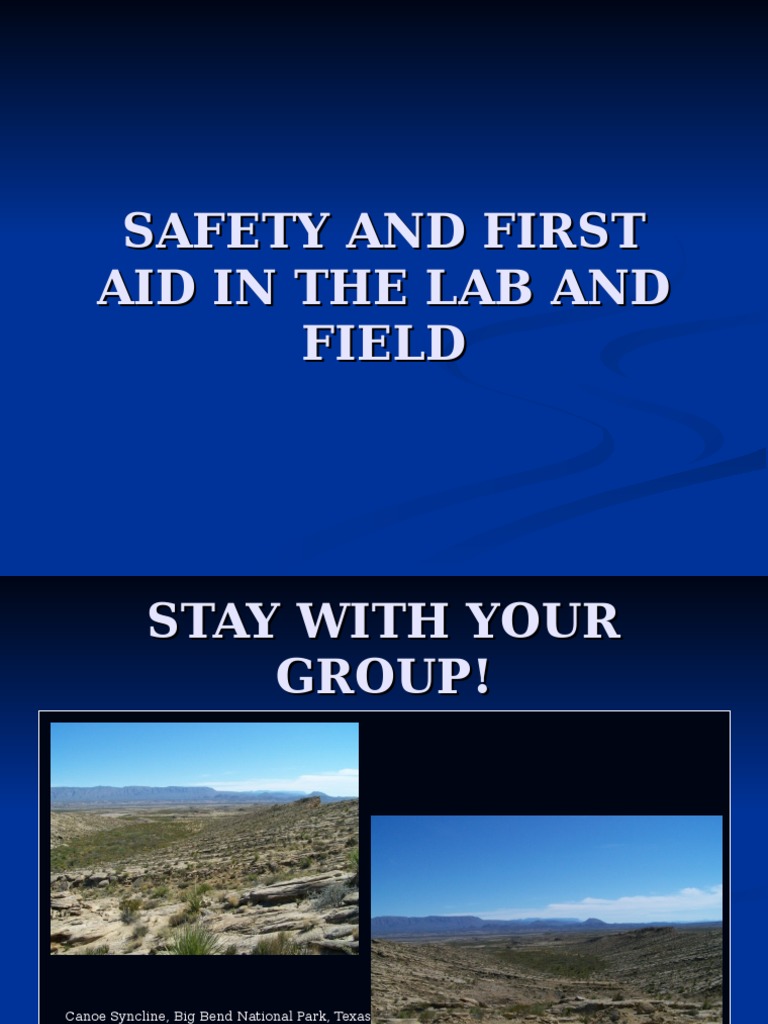 Lab and Field Safety First Aid Guide | PDF | Social Science