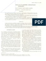 Defectos Anatómicos en El Camélido Sudamericano Doméstico