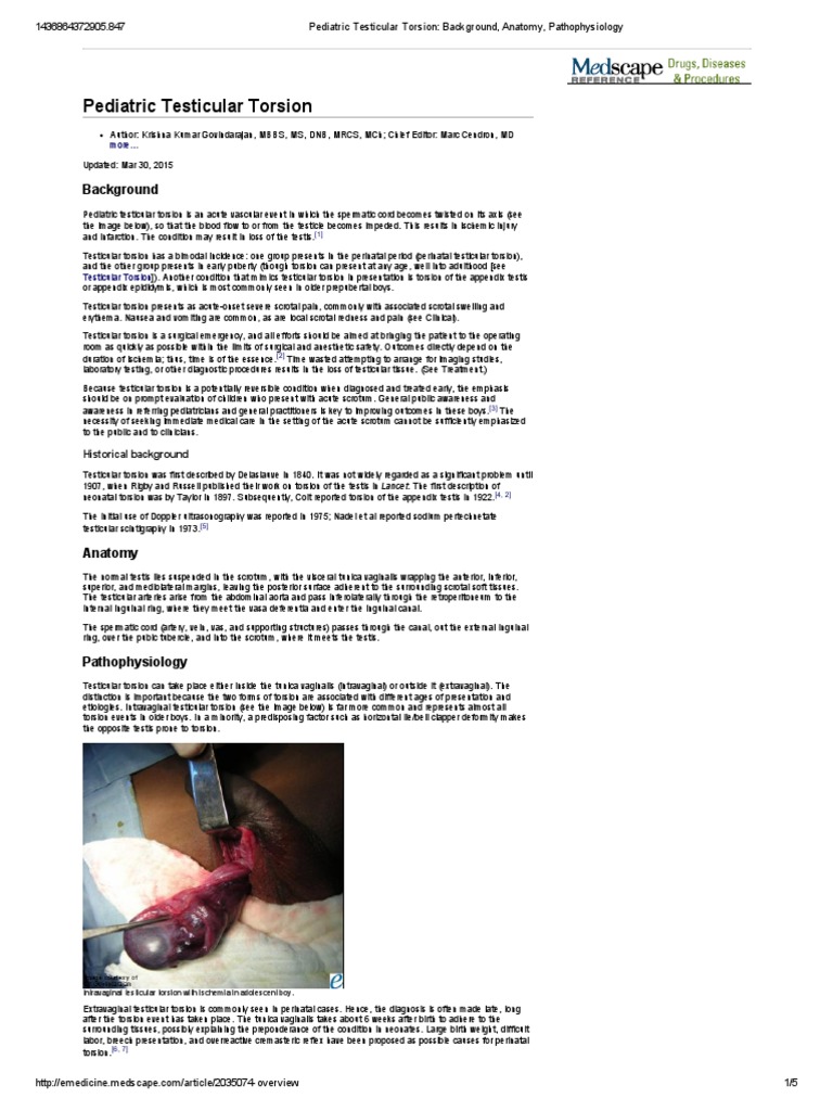 Pediatric Testicular Torsion_ Background, Anatomy, Pathophysiology Testicle Clinical Medicine