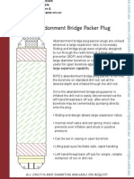 Abandonment Bridge Packer Plug
